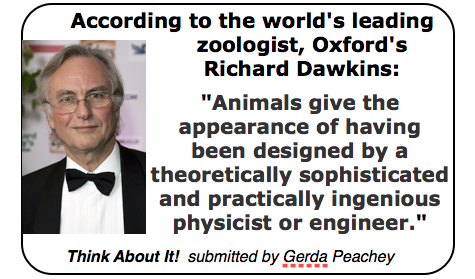 richard dawkins quotes