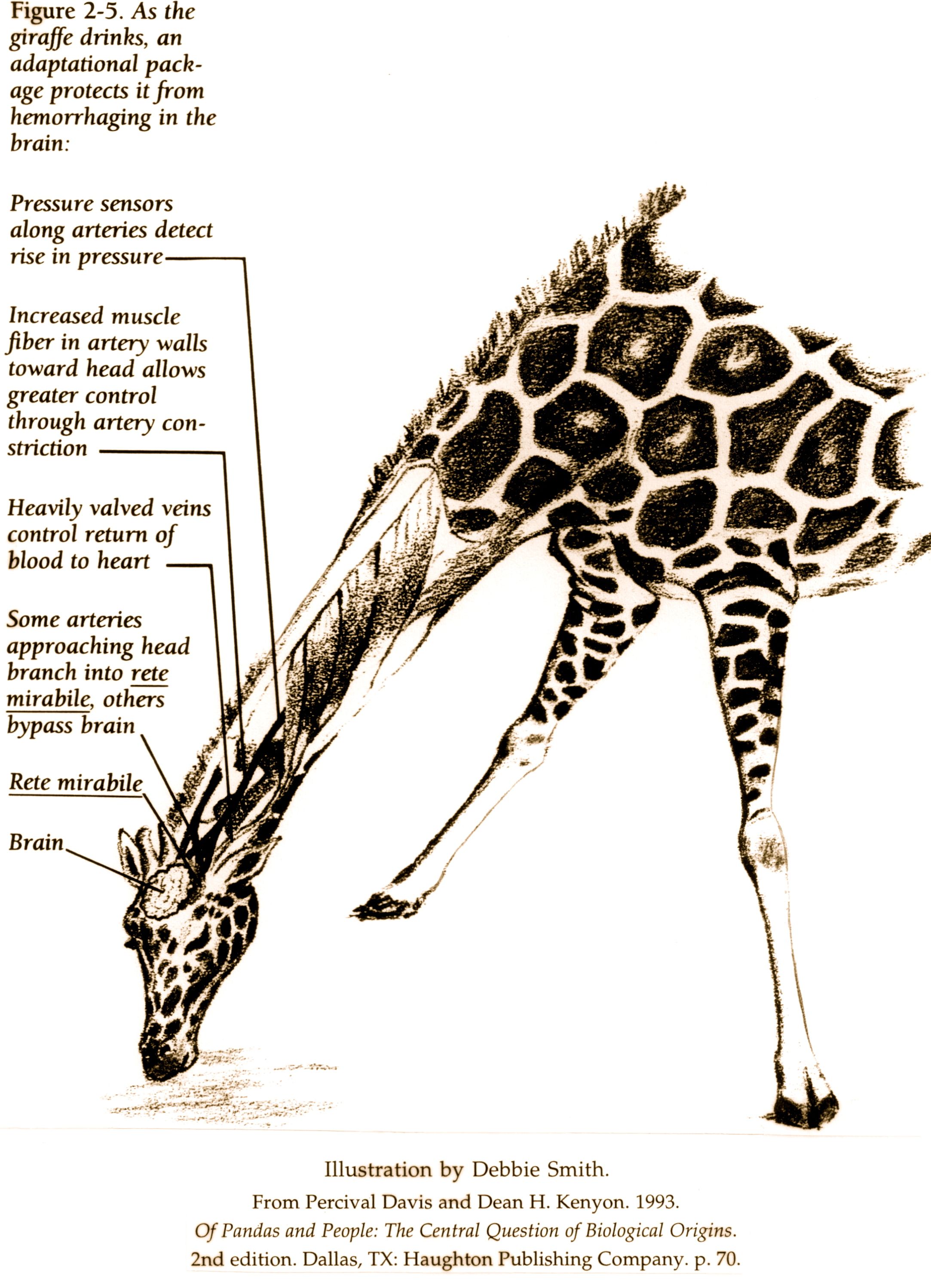 giraffe text art copy and paste