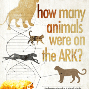 How Many Animals Were on the Ark? Understanding the Animal Kinds by Answers in Genesis