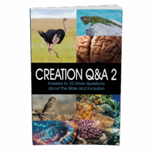 Creation Q&A 2 by ICR