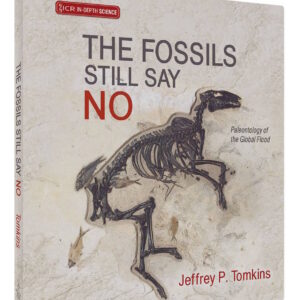 The Fossils Still Say NO! by Jeffrey P. Tomkins