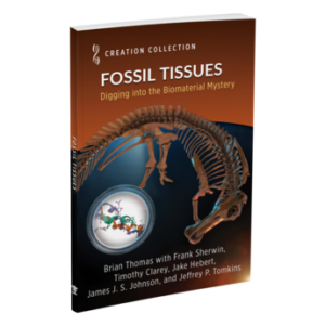 Creation Collection: Fossil Tissues by Institute for Creation Research