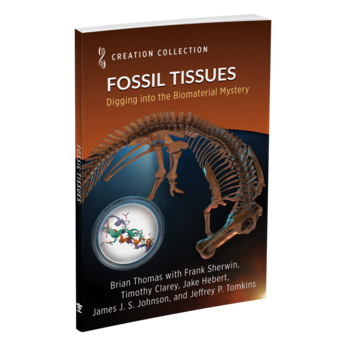 Creation Collection: Fossil Tissues by Institute for Creation Research
