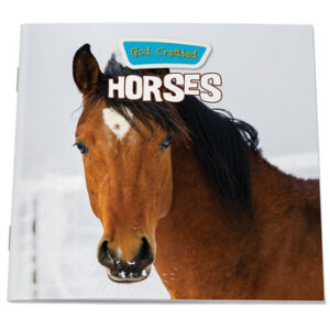 God Created Horses by Institute for Creation Research
