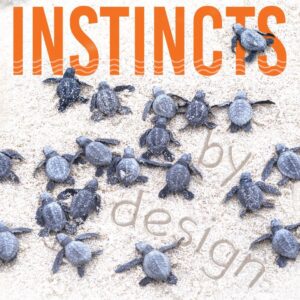 Instincts by Design by E. Howard Callahan