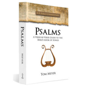 The Psalms: A Verse by Verse Guide to the Bible's Book of Songs by Tom Meyer
