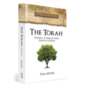 The Torah Vol. 1: A Verse by Verse Guide to Genesis by Tom Meyer