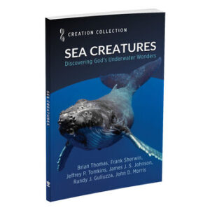 Creation Collection: Sea Creatures by ICR