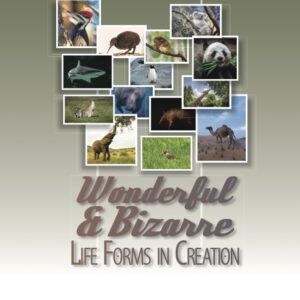Wonderful and Bizarre Life Forms in Creation by Jerry Bergman